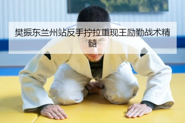 樊振东兰州站反手拧拉重现王励勤战术精髓