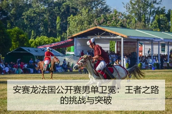 an-sai-long-fa-guo-gong-kai-sai-nan-dan-wei-mian-wang-zhe-zhi-lu-de-tiao-zhan-yu-tu-po-1-998.jpg